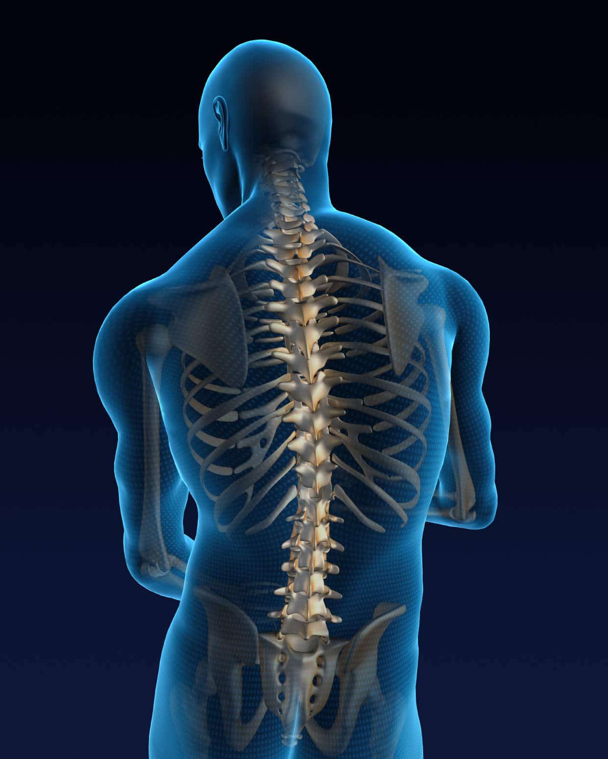 Spinal Interface